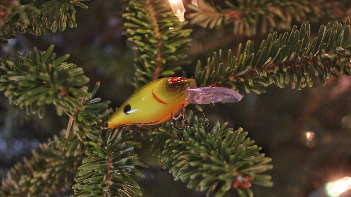 bass-fishing-gift-card-for-christmas-shopping-2.jpg