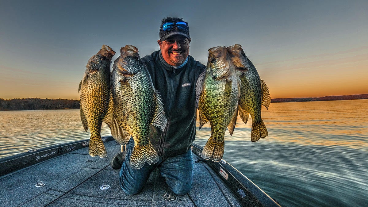 Find and Consistently Catch Crappie in Brush - Wired2Fish