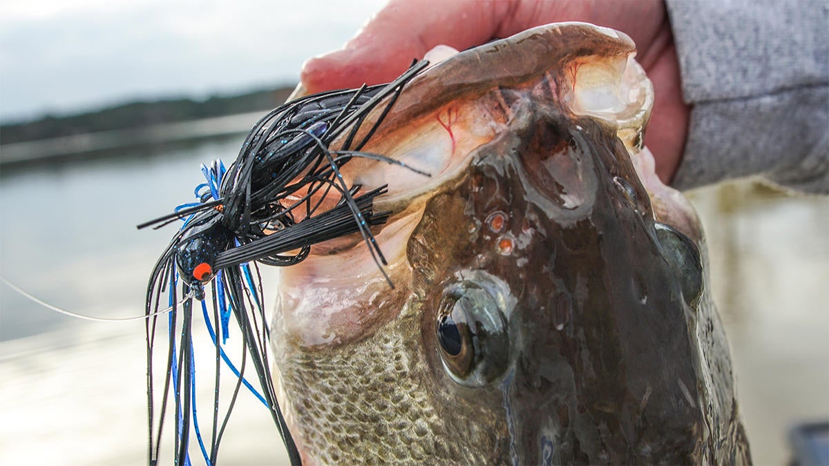 winter-bass-fishing-tips-for-fishings-edges-for-bass-3.jpg