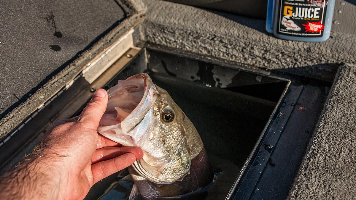 winter-bass-fishing-tips-for-co-anglers-2.jpg