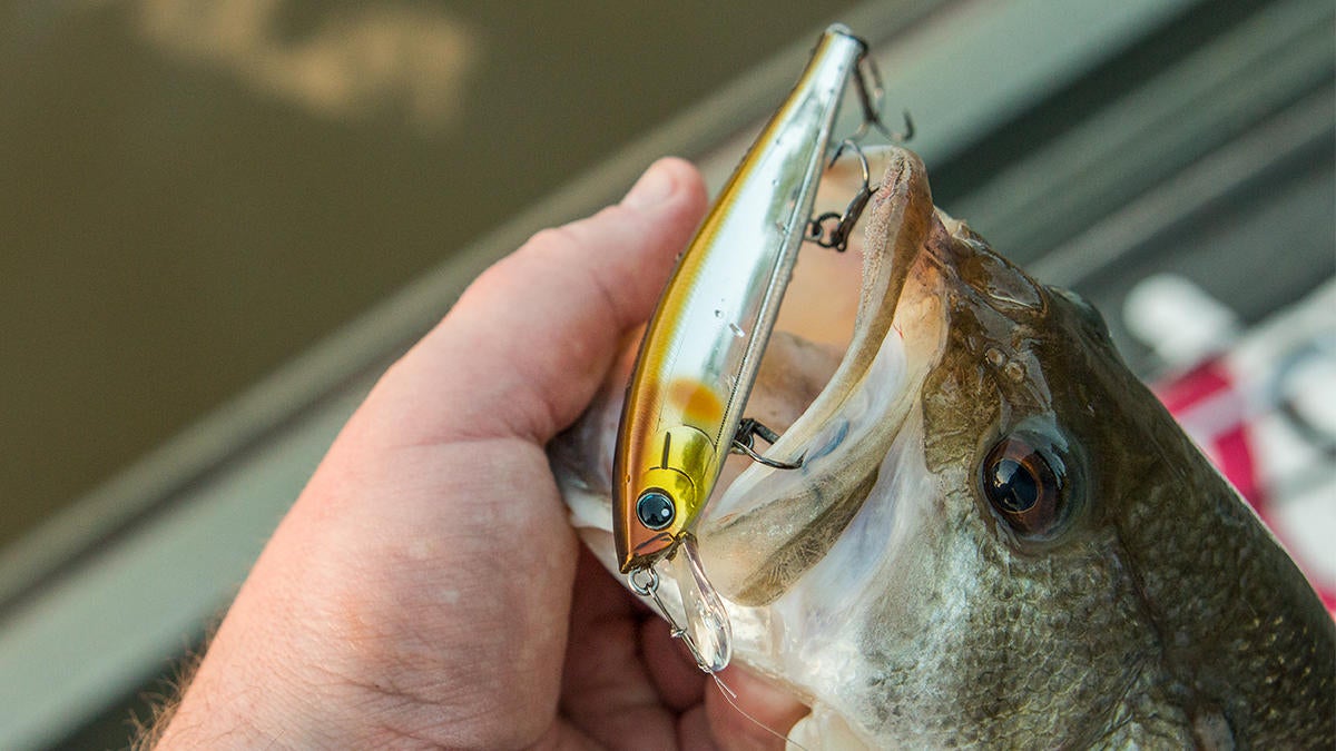 duel-hardcore-minnow-sp-jerkbait-4.jpg
