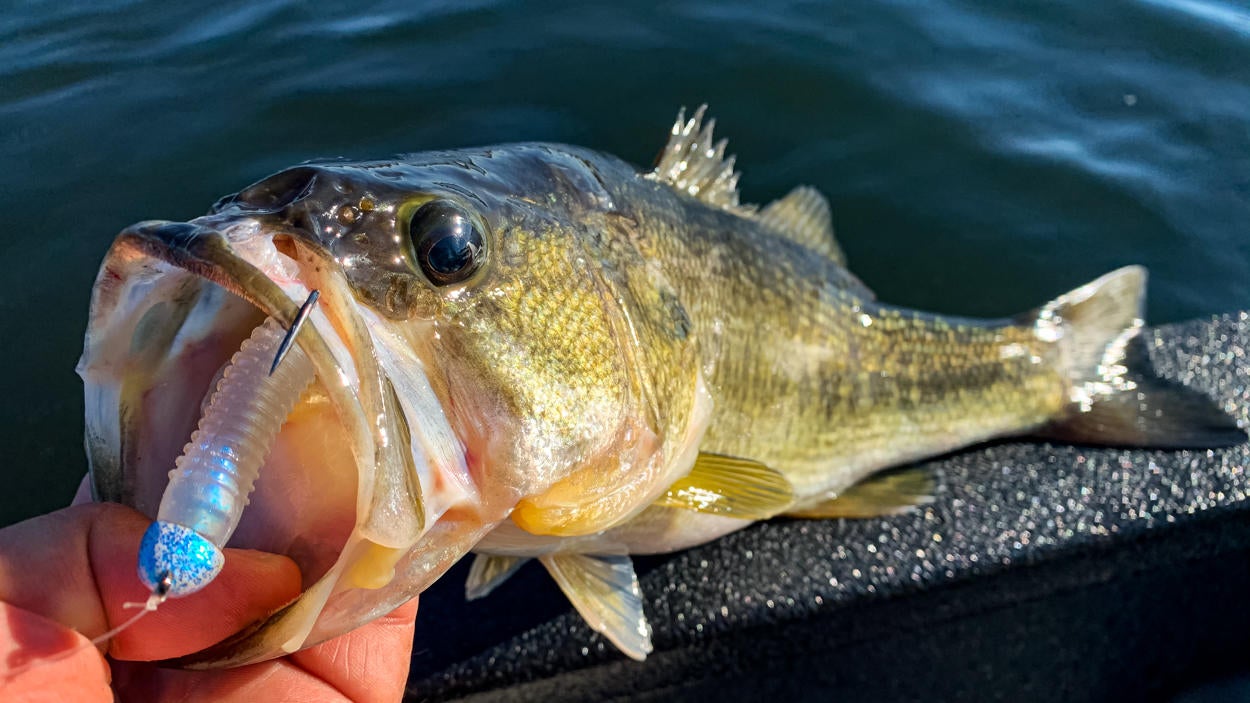 tackle-hd-swimmer-8.jpg