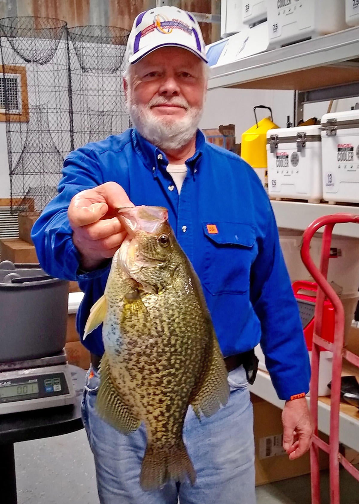 Two Nearly Record Crappie Caught In Louisiana Wired2fish Com