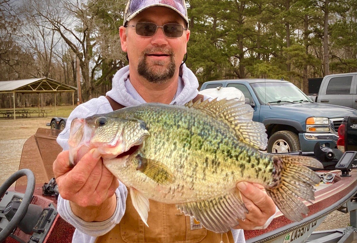 Two Nearly Record Crappie Caught In Louisiana - Wired2Fish.com