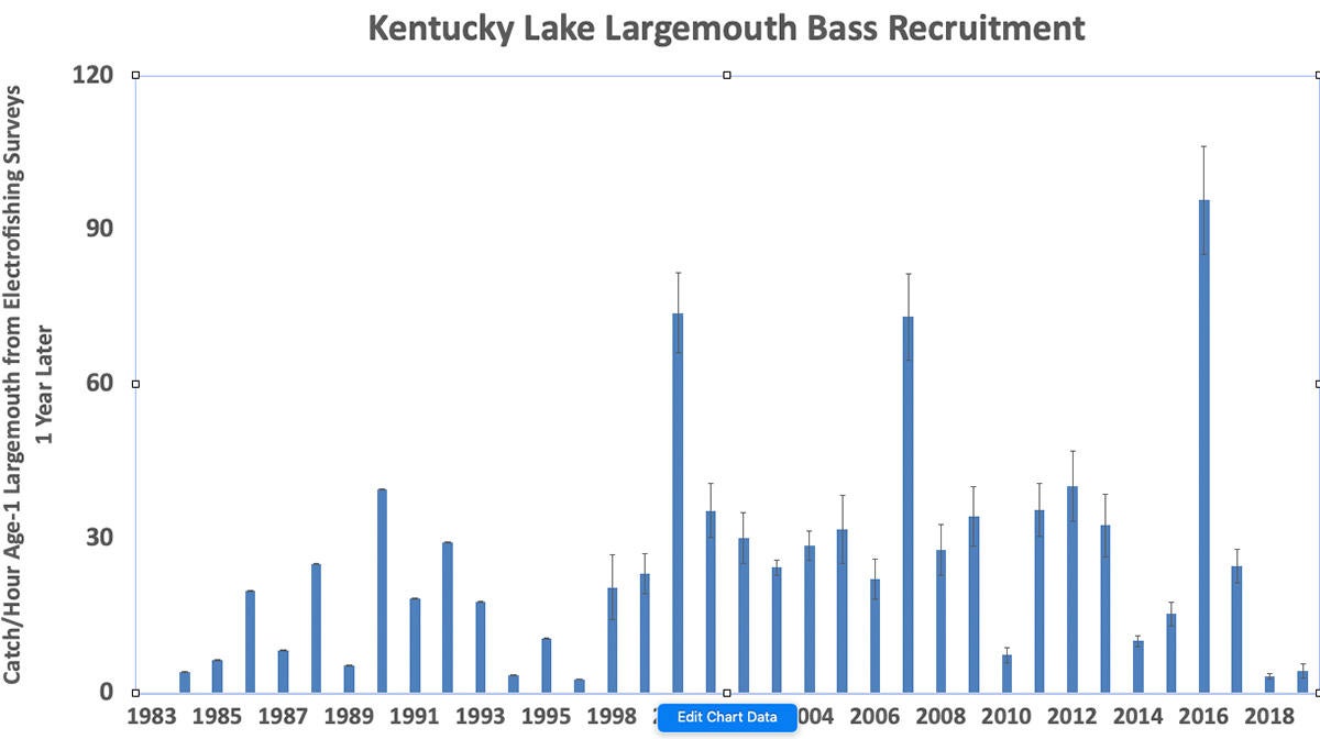 age-1-recruitment-largemouth-bass-ky-lake.jpg