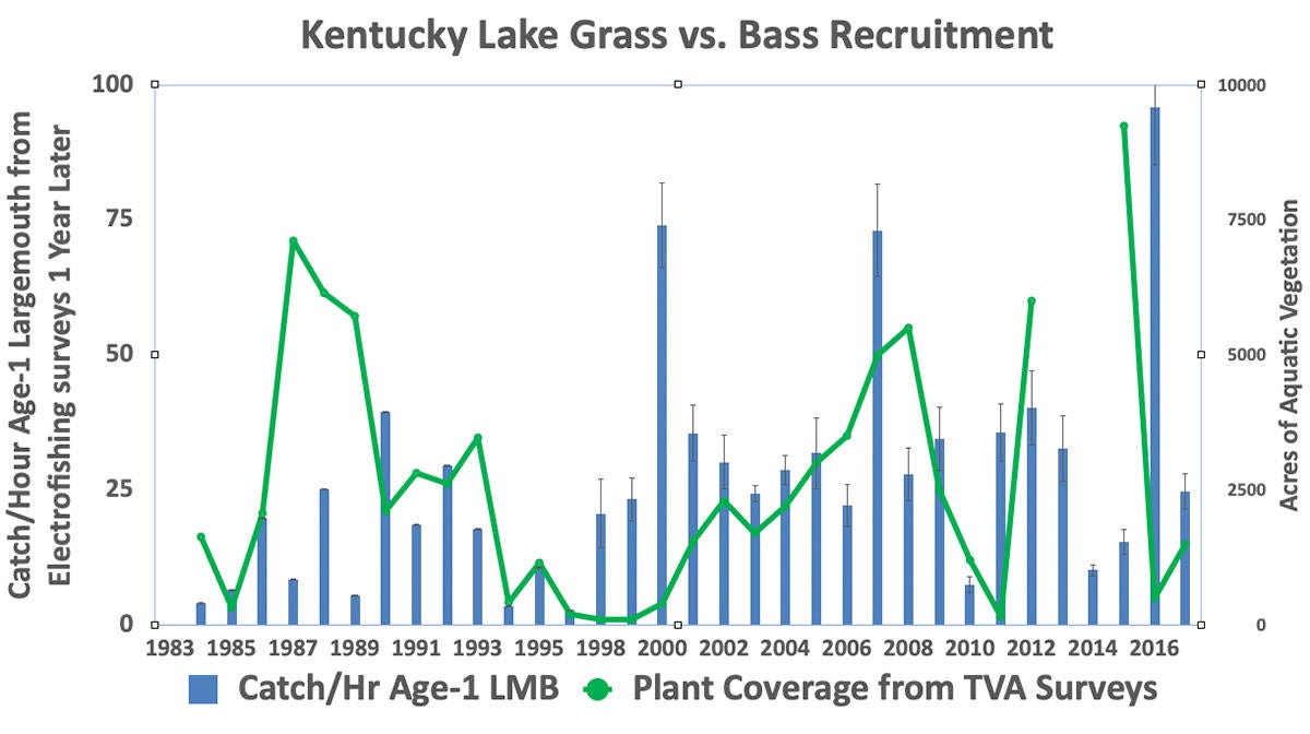 grass-vs-bass.jpg