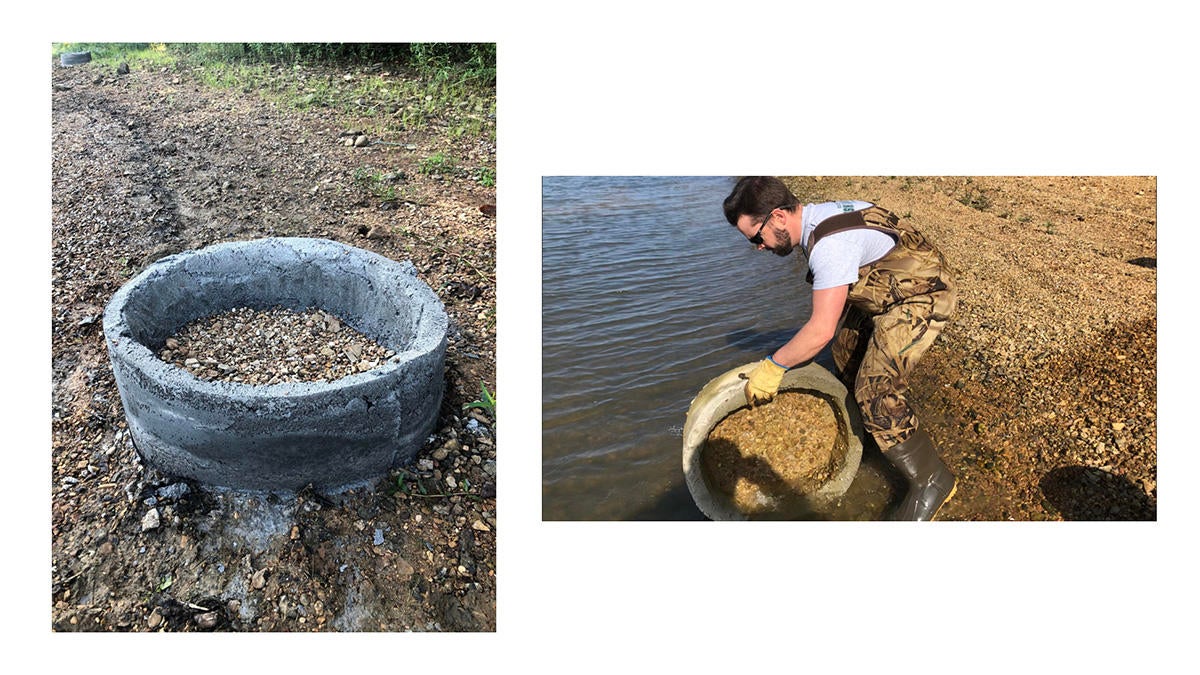 adam-martin-habitat-kydfwr.jpg