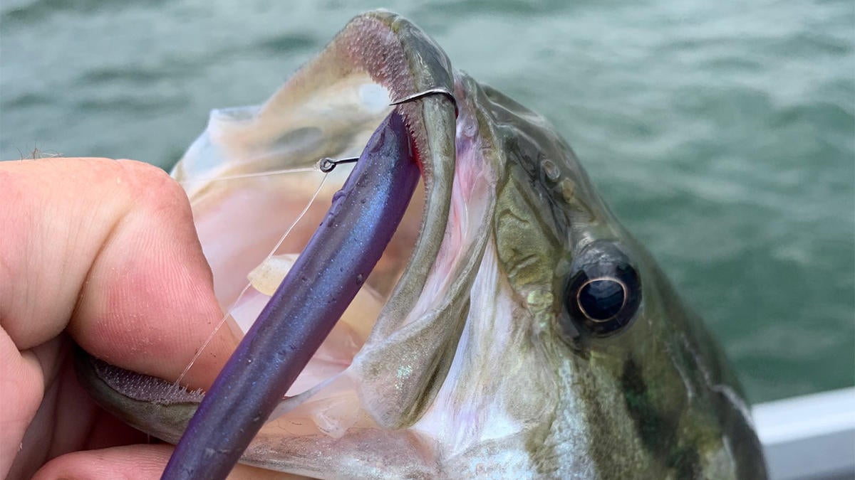 Why Drop Shot Bass Fishing Isn't Always Vertical - Wired2Fish.com