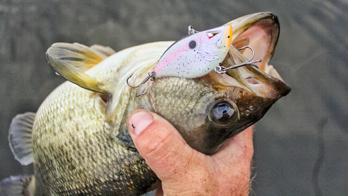team-ark-elite-z-series-63mm-lipless-crankbait-review-for-bass-fishing-2.jpg