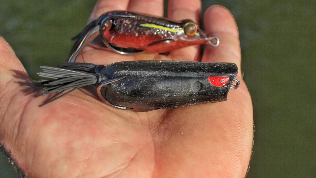 bass-fishing-frog-selection-4.jpg