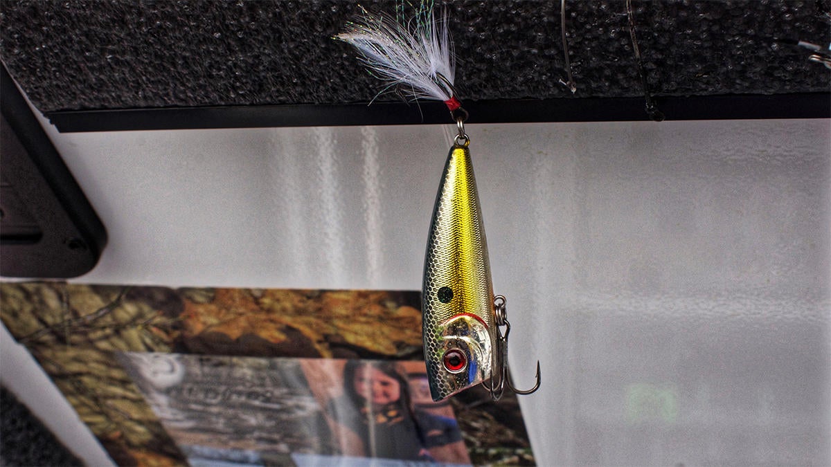 late-spring-bass-fishing-for-fry-guarding-bass-2.jpg