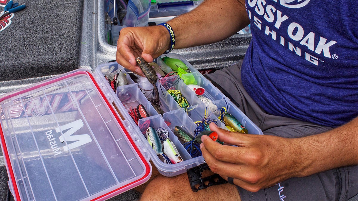 late-spring-bass-fishing-for-fry-guarding-bass-3.jpg
