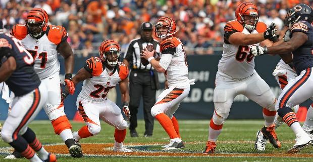 <p>andy dalton</p>