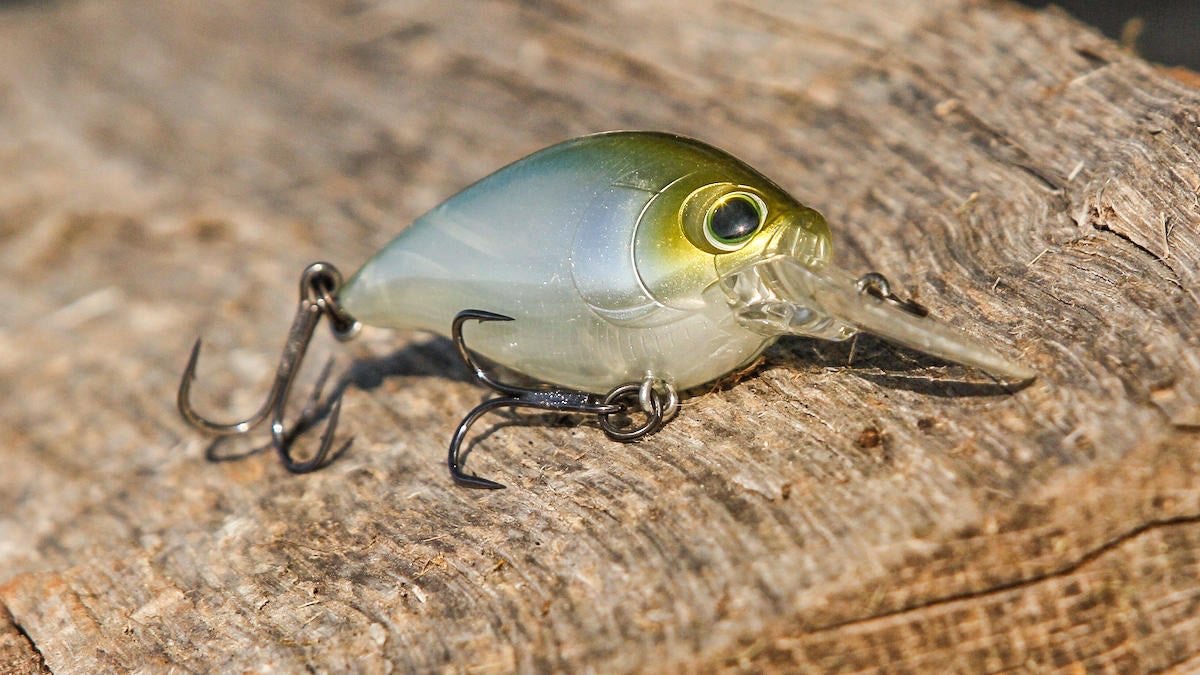 hardcore-mr-60-crankbait-bass-fishing-lure-review-5.jpg