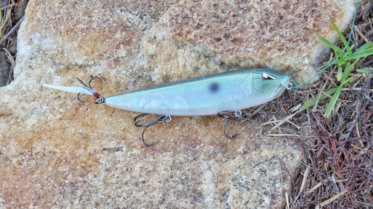 ark-topwater-slider-bass-fishing-lure-review-6.jpg
