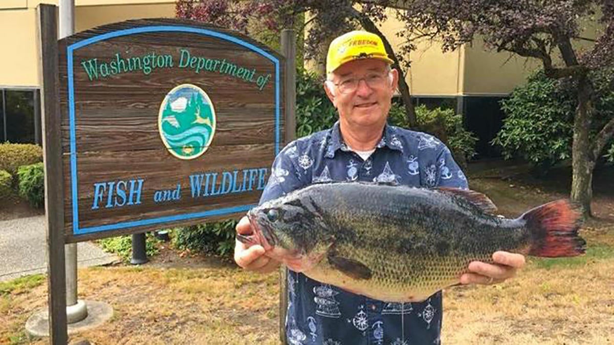washington-state-record-bass.jpg
