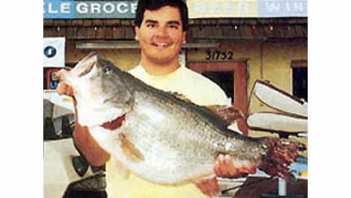ca-arujol-big-california-bass.jpg