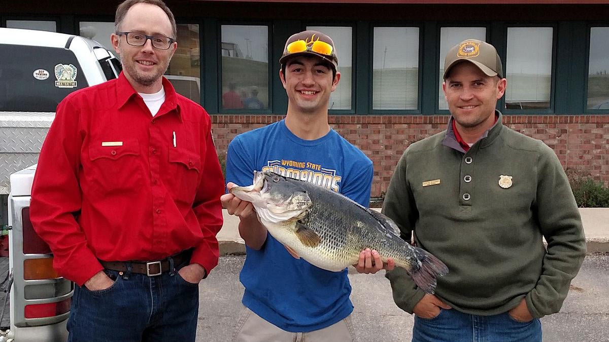 34 Of The Biggest State Record Largemouth Bass Wired2fish Com