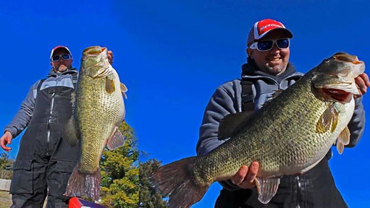 34 Of The Biggest State Record Largemouth Bass