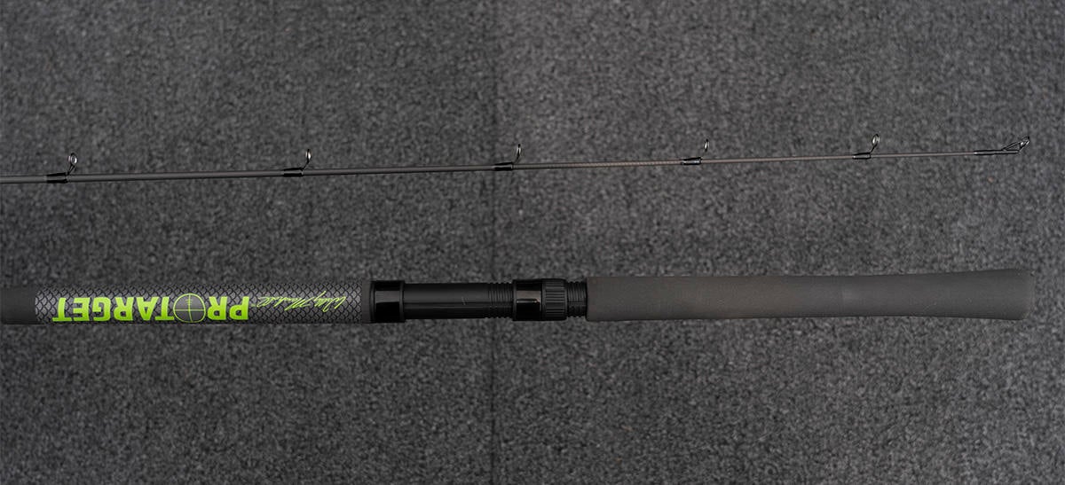 lews-protarget-copy.jpg