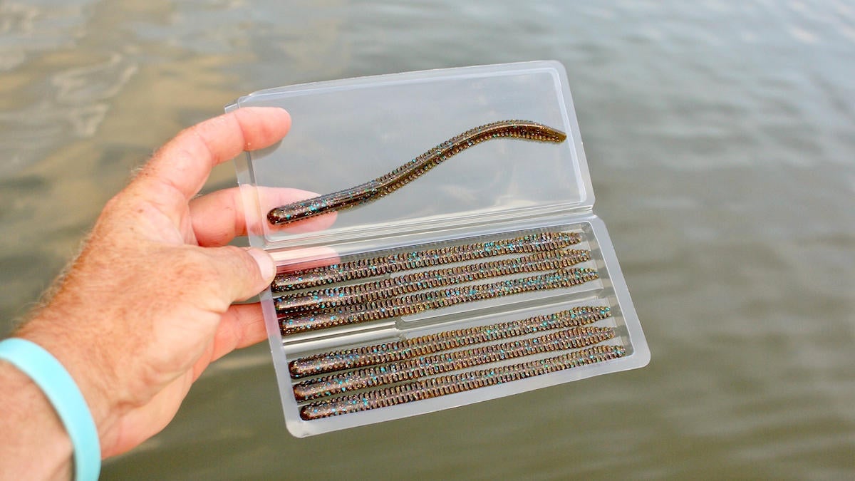 netbait-flex-worm-for-bass-fishing-review-7.jpg