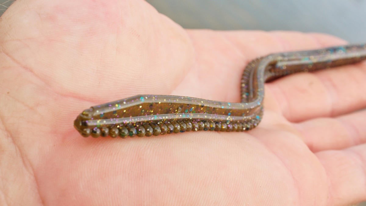 netbait-flex-worm-for-bass-fishing-review-6.jpg