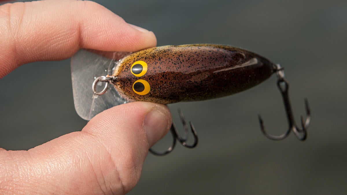 Bagley Pro Sunny B Crankbait Review - Wired2Fish.com