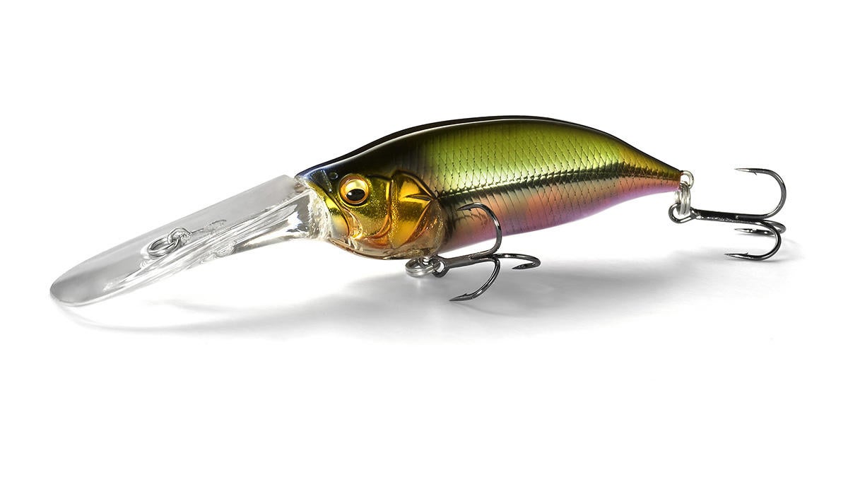 megabass-ixi-tx.jpg