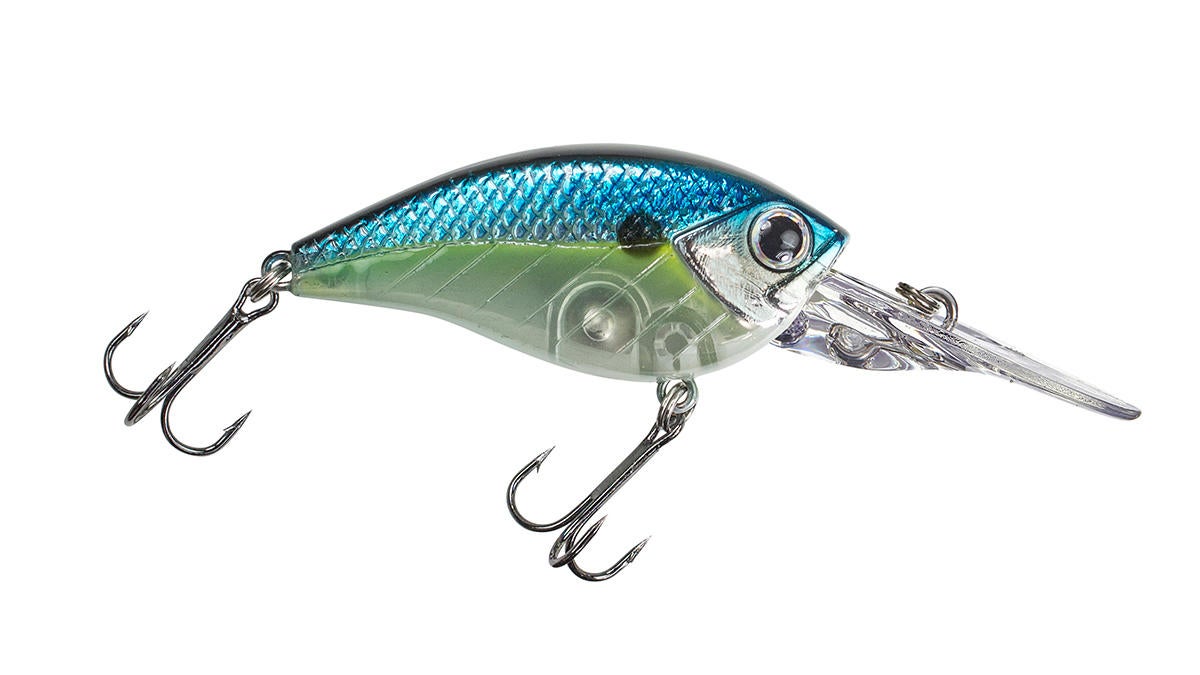 lunkerhunt-1.jpg