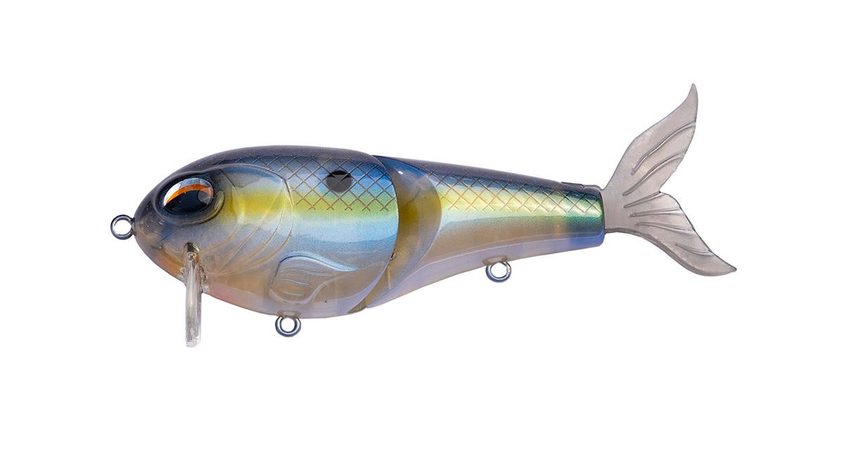 jenko-wake-n-bait-1200px.jpg