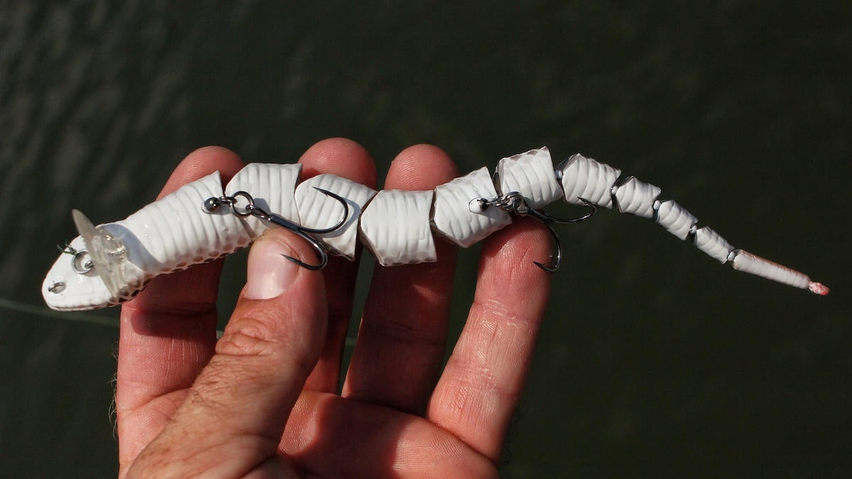 savage-gear-3d-snake-wakebait-review-8.jpg