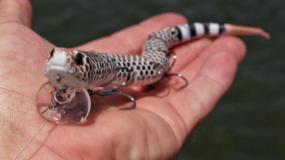 savage-gear-3d-snake-wakebait-review-5.jpg