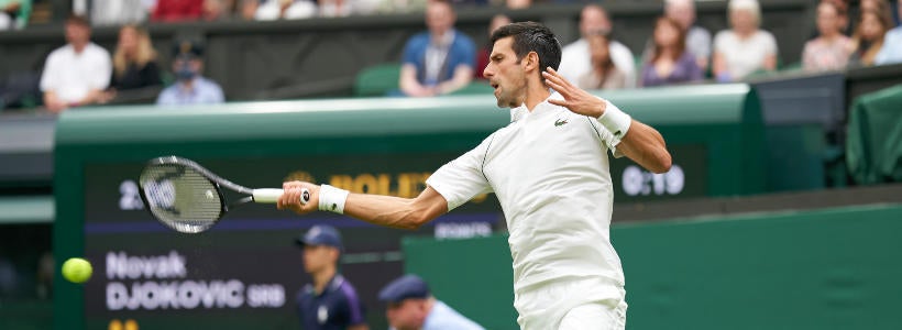 Novak Djokovic Wimbledon tennis