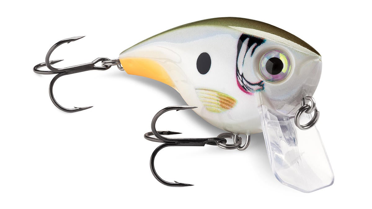 rapala-5.jpg