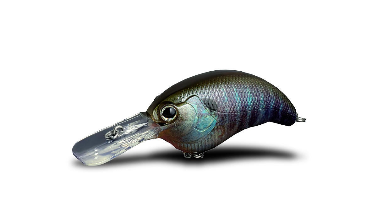 deps-evoke1-8.jpg