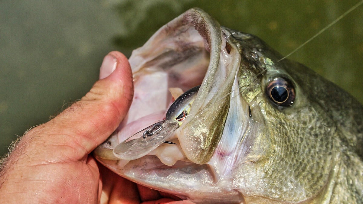 spro-little-john-micro-dd-45-crankbait-review-3.jpg