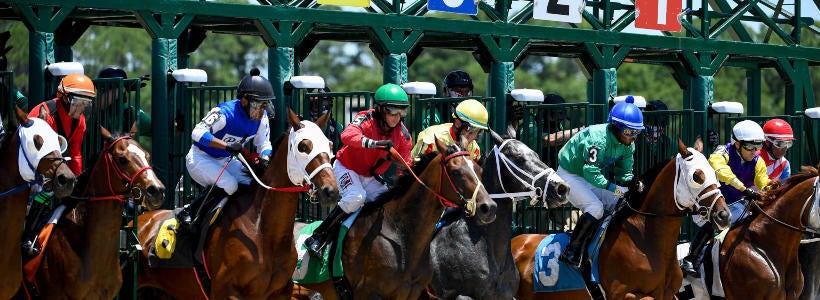 horse racing Tampa Bay Downs