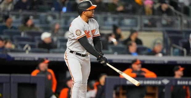 <p>orioles</p>