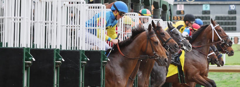 SportsLine Analyst Jody Demling on which horse has the best chance to win  the Kentucky Derby 