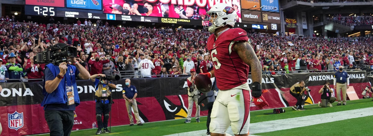 <p>James Conner Arizona Cardinals</p>