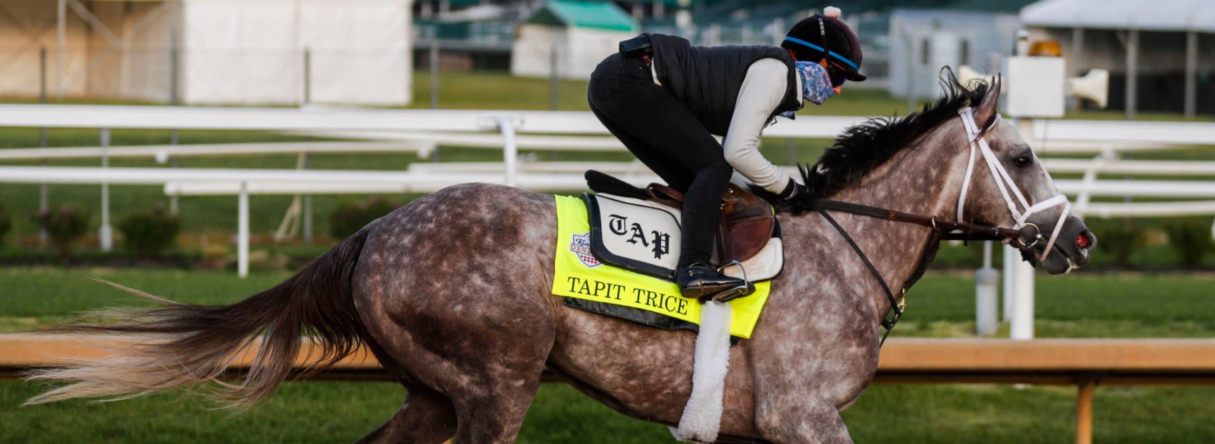 Tapit Trice profile 2023 Kentucky Derby odds, post position, history