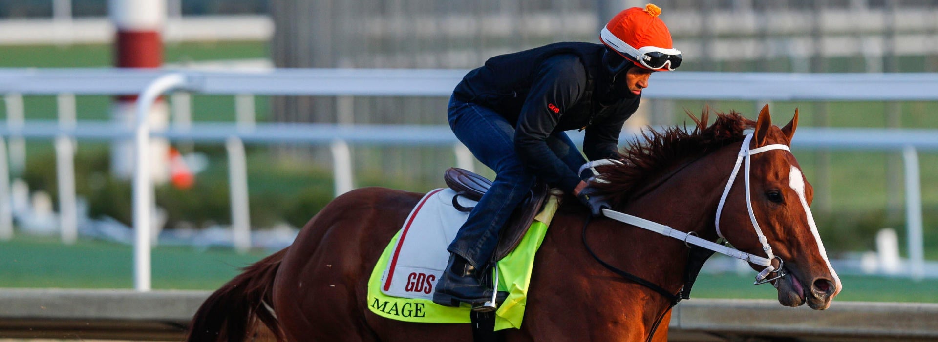 Mage profile 2023 Kentucky Derby odds, post position, history and more