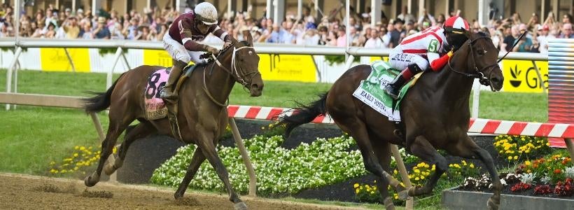 preakness