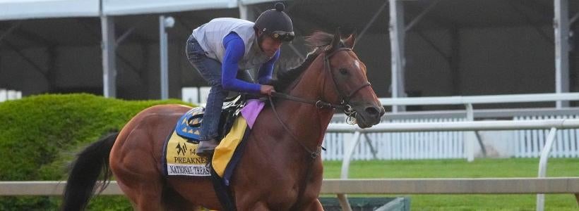 2024 California Crown Stakes odds, horses, field: Racing insider offers best bets for the $1 million race