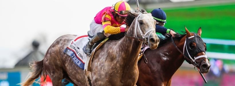 2024 Breeders' Cup Classic picks, odds: Horse racing writer has best bets for $7 million race