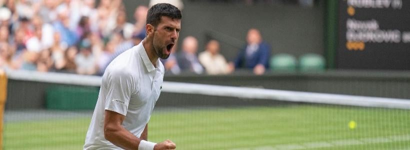 <p>Novak Djokovic</p>