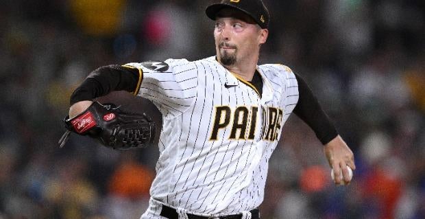 <p>blake snell</p>