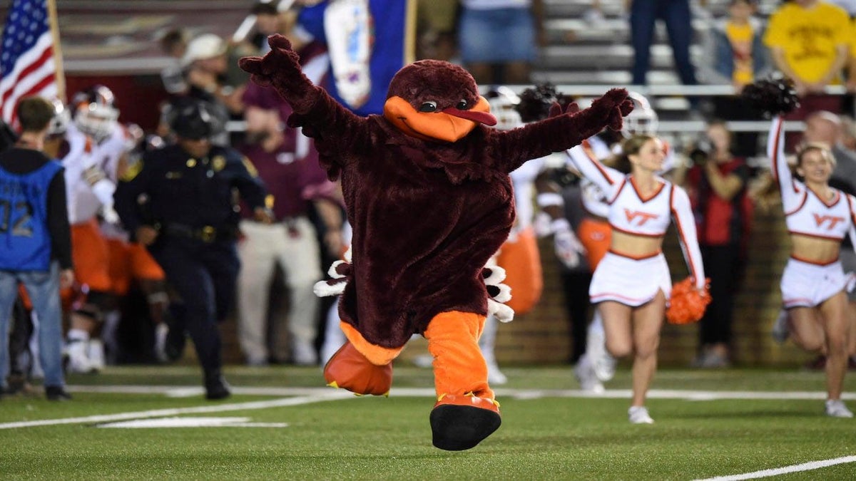 <p>Oct 7, 2017; Chestnut Hill, MA, USA; Virginia Tech Hokies mascot Hokiebird runs onto the field prior to a game against the Boston College Eagles at Alumni Stadium.</p>