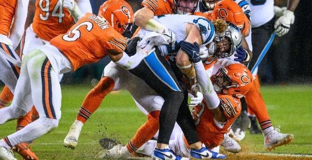 <p>panthers bears</p>