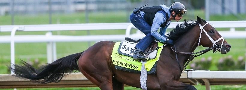 2024 Breeders' Cup Classic odds, horses, field: Racing insider offers best bets for the $7 million race